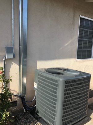 WhatsApp Image 2024-04-18 at 7.41.20 p. m.